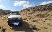 Toyota Land Cruiser 80 Wagon 4.5 1994 Gray for sale