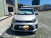 Kia Picanto 2021 Silver for sale