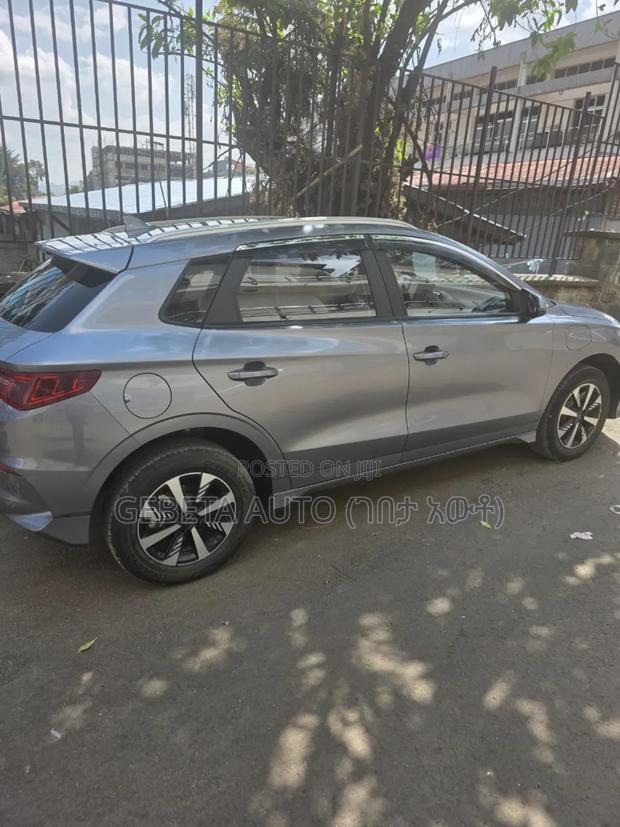 BYD Seagull 2024