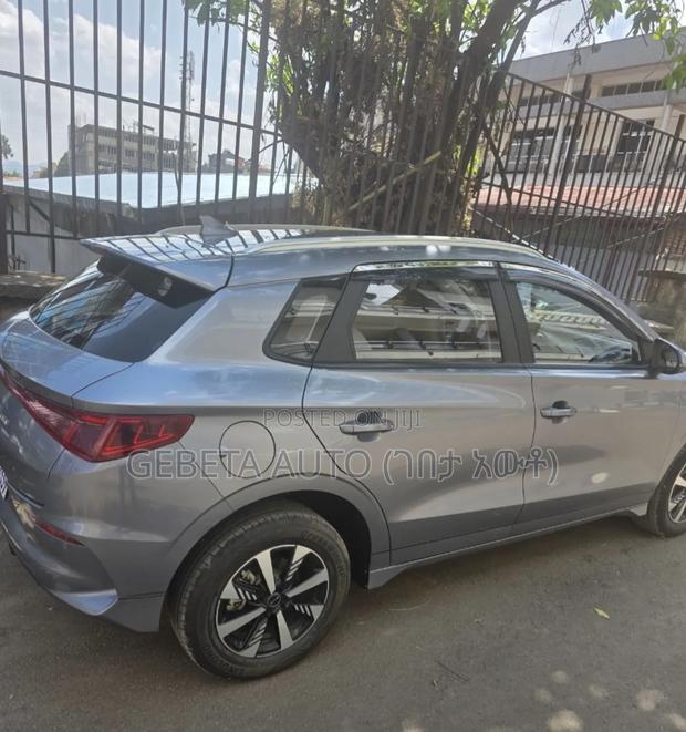 BYD Seagull 2024