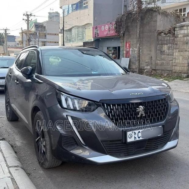 Peugeot 2008 2022 Gray