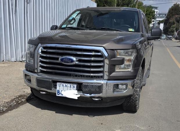 Ford F-150 2015 Brown