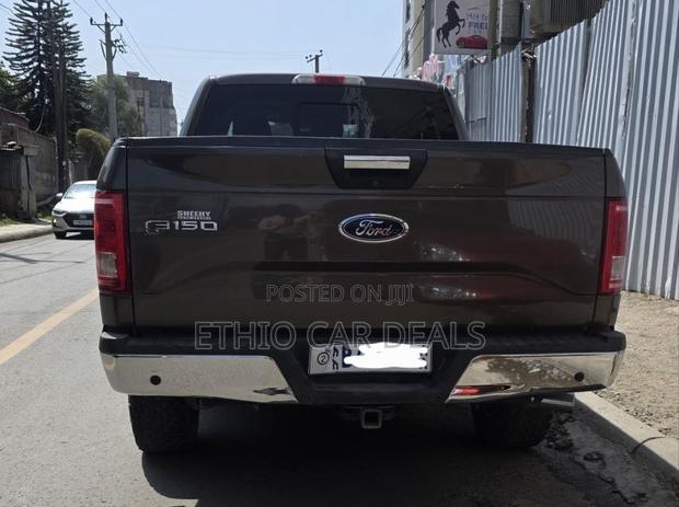 Ford F-150 2015 Brown