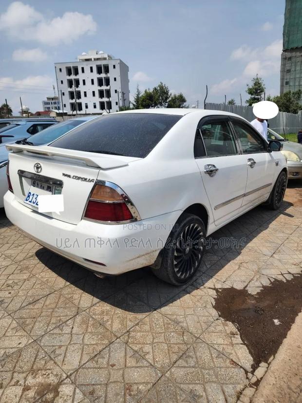 Toyota Corolla 2005 White