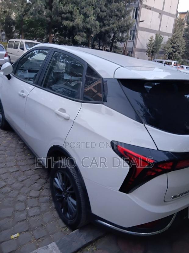 Hozon Neta Aya 2023 White