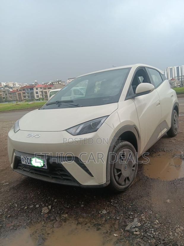 BYD Seagull 2024 White