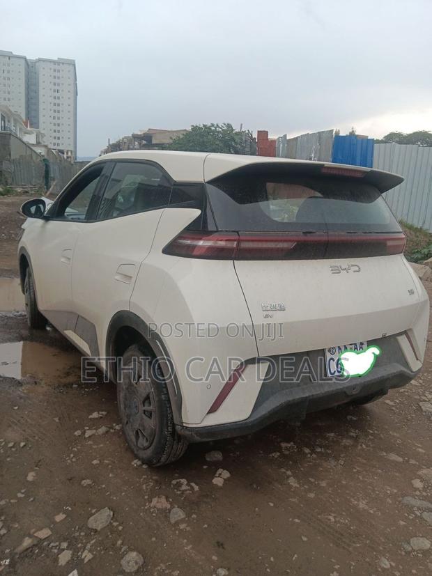 BYD Seagull 2024 White