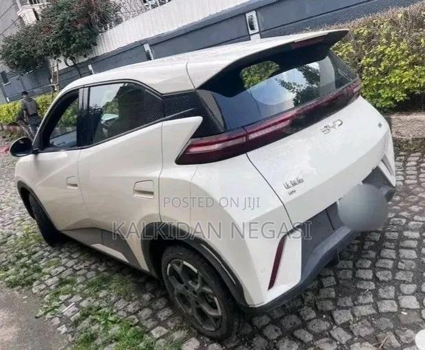 BYD Seagull 2025 Off white