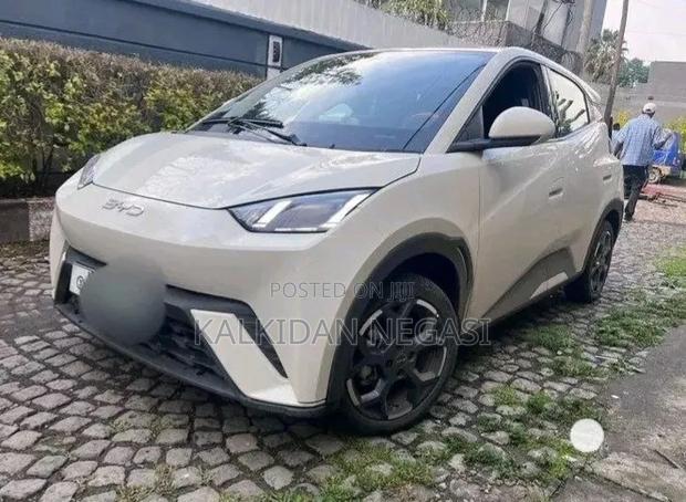 BYD Seagull 2025 Off white
