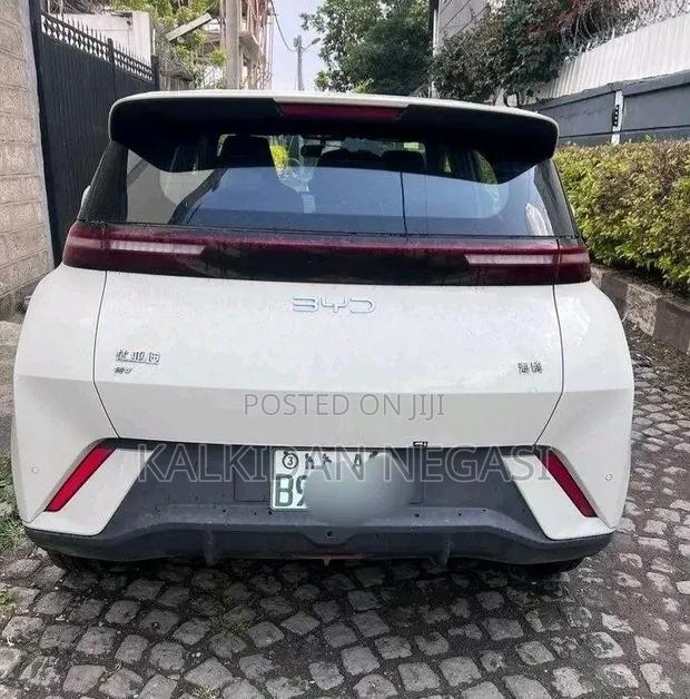 BYD Seagull 2025 Off white
