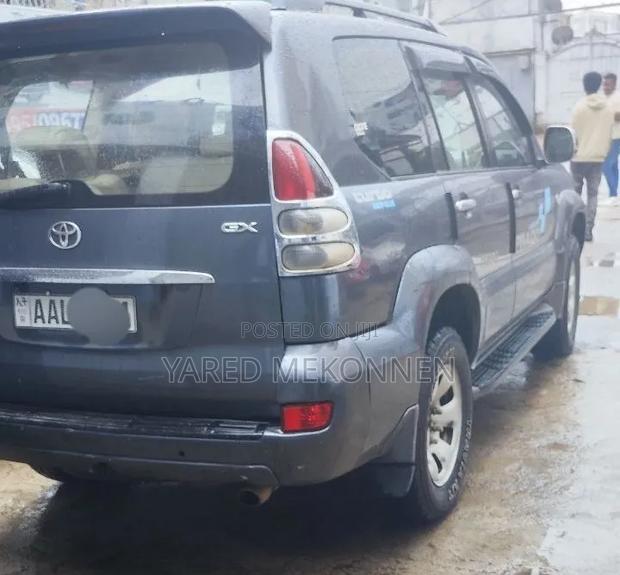 Toyota Land Cruiser 2006 Gray