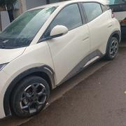 BYD Seagull 2025 White for sale