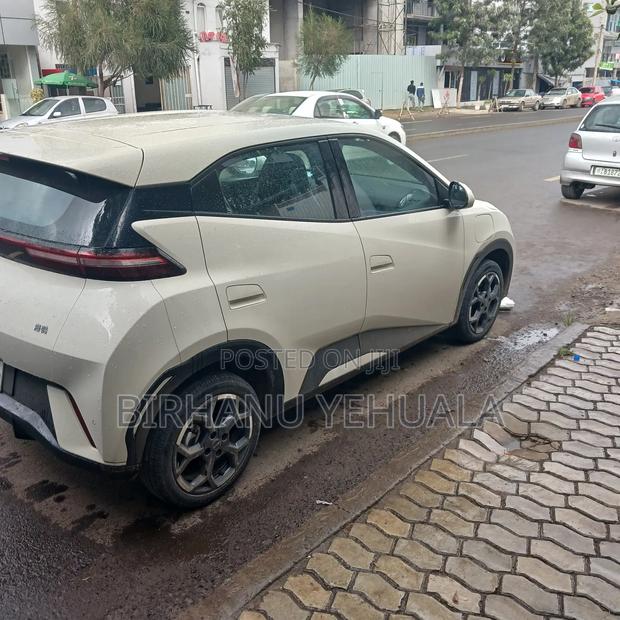 BYD Seagull 2025 White