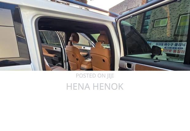 Hyundai Santa Fe 2024 White