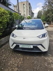 BYD Seagull 2025 White for sale