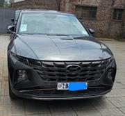 Hyundai Tucson Limited 2021 Gray for sale