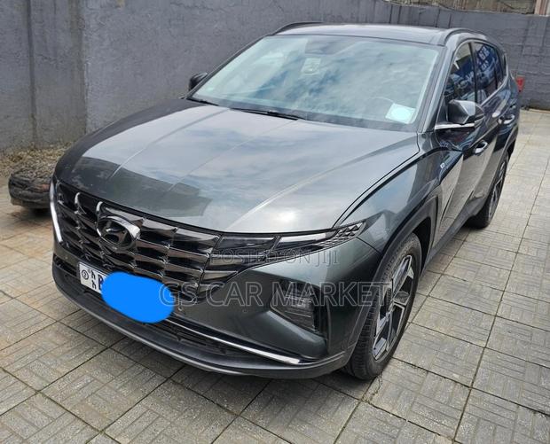 Hyundai Tucson Limited 2021 Gray