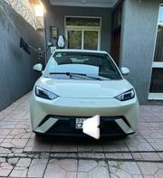 BYD Seagull 2025 White for sale