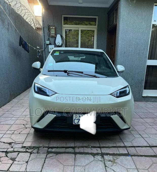BYD Seagull 2025 White