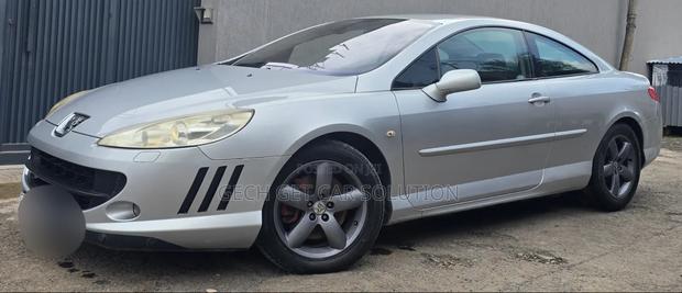 Peugeot 407 2007 Silver