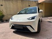 New BYD Seagull 2025 White for sale