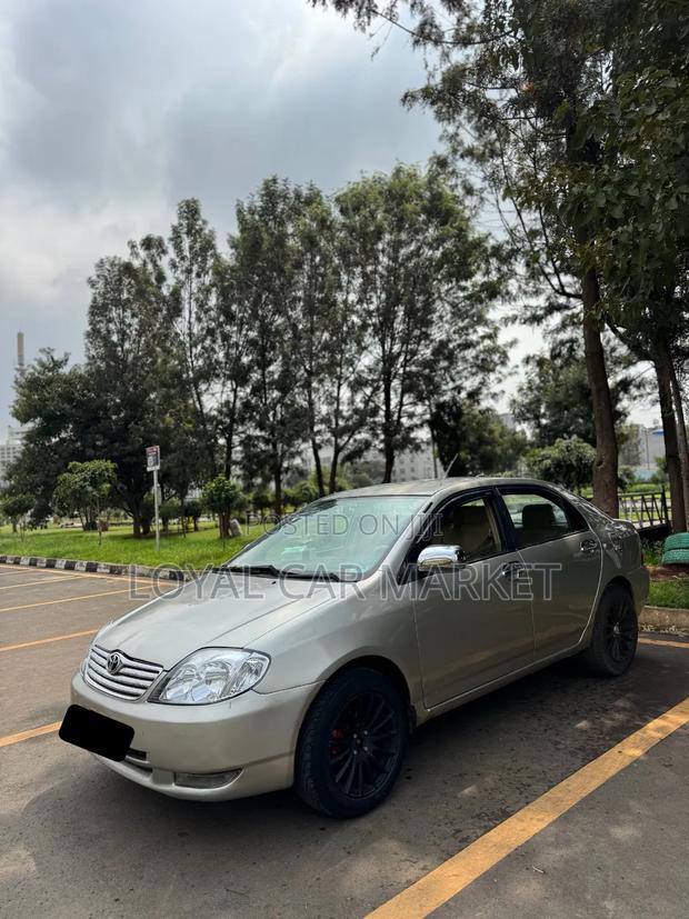 Toyota Corolla 2003 Gold