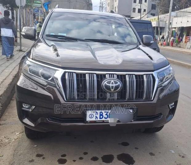 Toyota Land Cruiser 2019 Brown