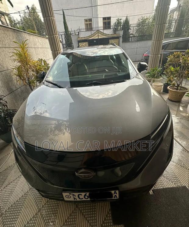 Nissan Ariya 2024 Gray