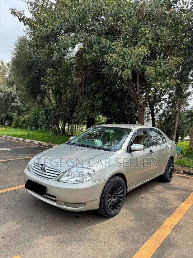 Toyota Corolla 2003 Gray