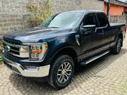 Ford F-150 2021 Gray for sale