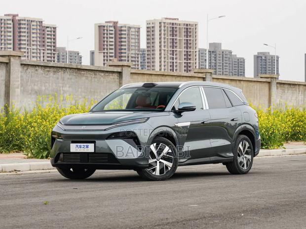 New BYD Tang EV 2025 Gray