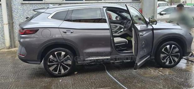 BYD Song Plus 2024 Gray