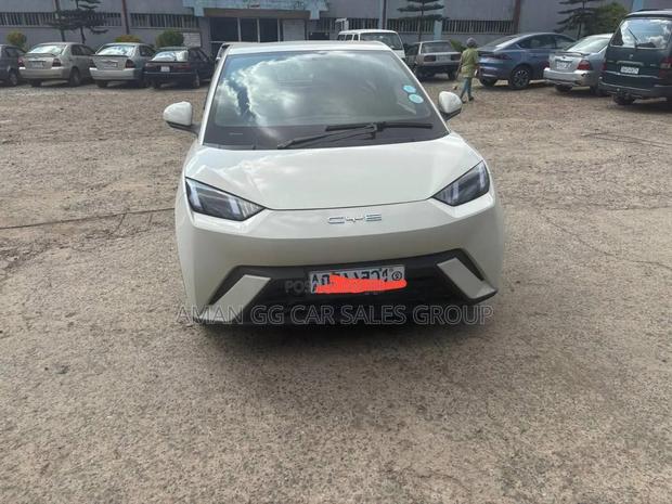 BYD Seagull 2024 Gray