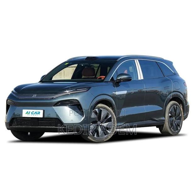 New BYD Tang EV 2025 Gray