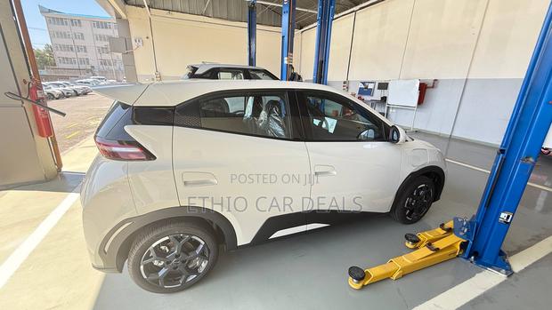 BYD Seagull 2025 White