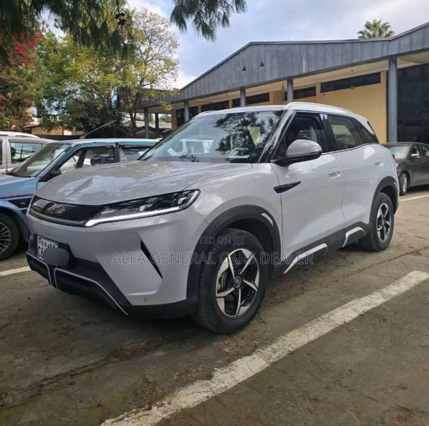 BYD Yuan Up 45 kWh FWD 2024 Silver