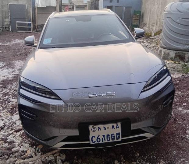 BYD Song Plus 2024 Gray