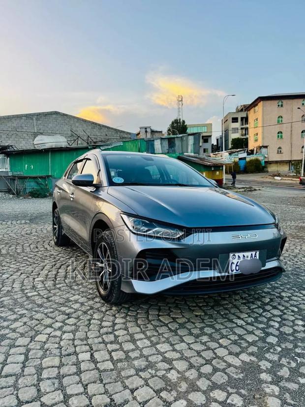 BYD E2 43 kWh 94 hp FWD 2025 Gray