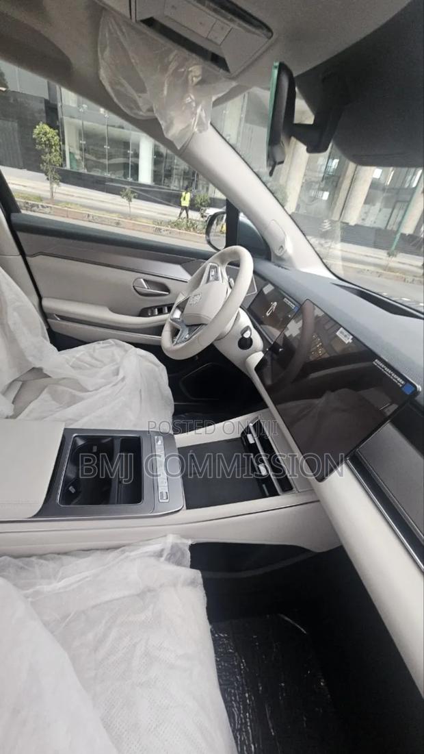 New BYD Tang DM-i 2025 Green