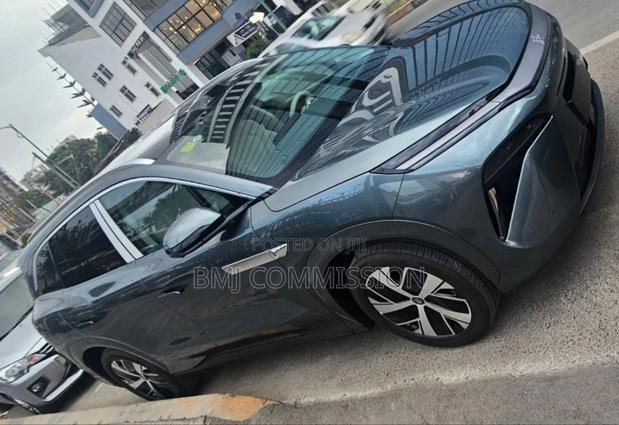 New BYD Tang DM-i 2025 Green