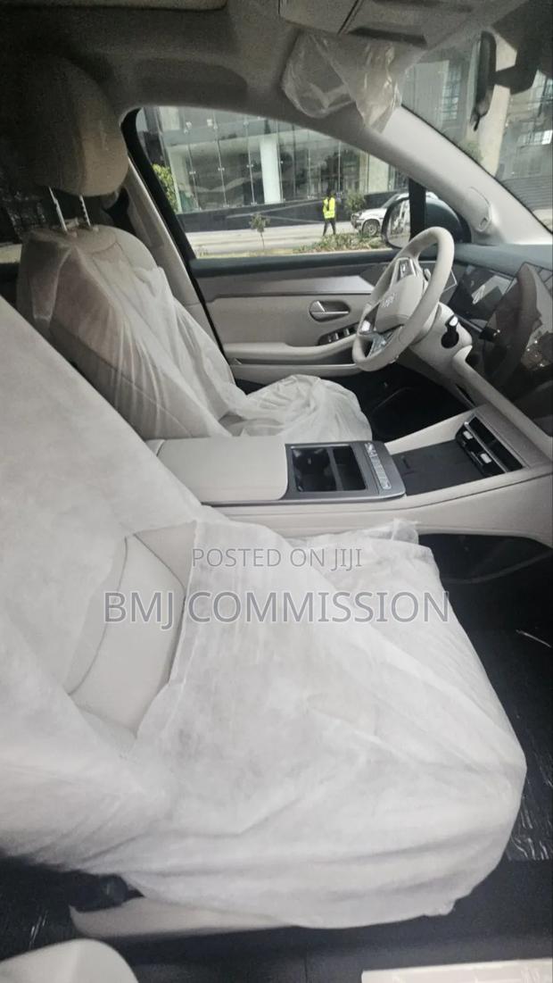 New BYD Tang DM-i 2025 Green