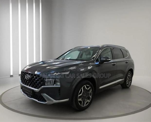 Hyundai Santa Fe 2024 Gray