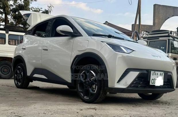 BYD Seagull 2025 Silver