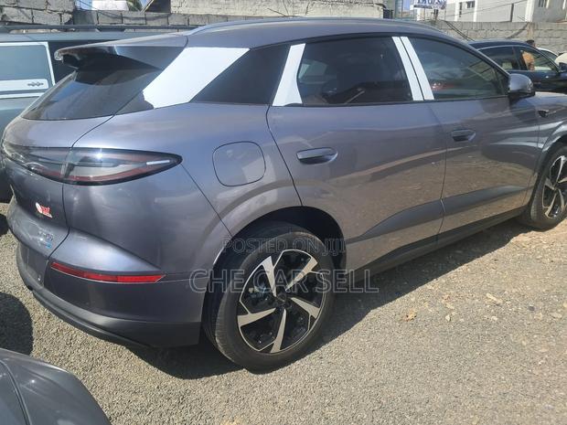 New BYD Sealion 06 DM-i 2025 Gray