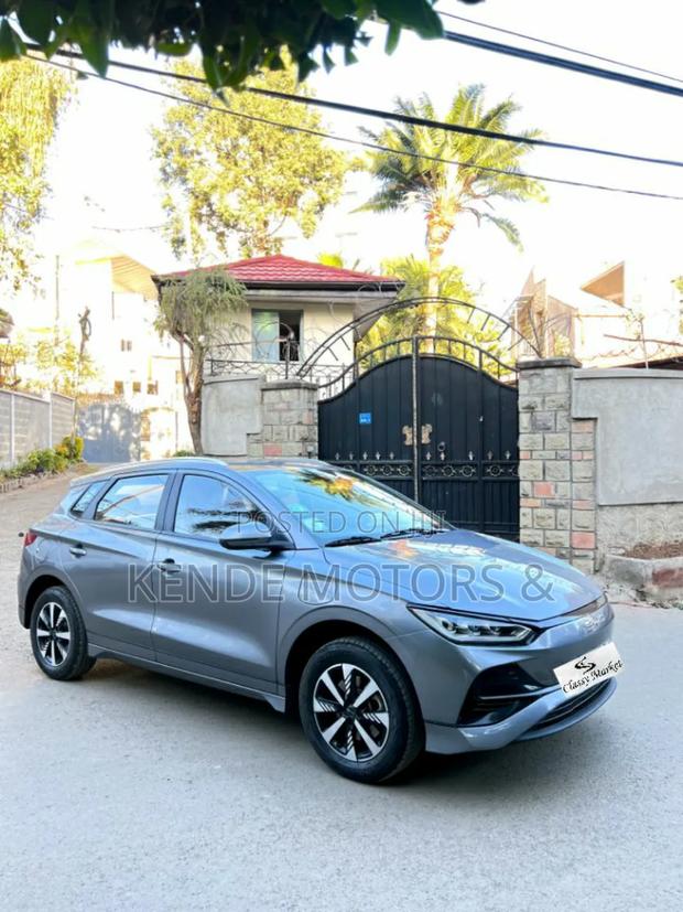 BYD E2 43 kWh 94 hp FWD 2024 Gray
