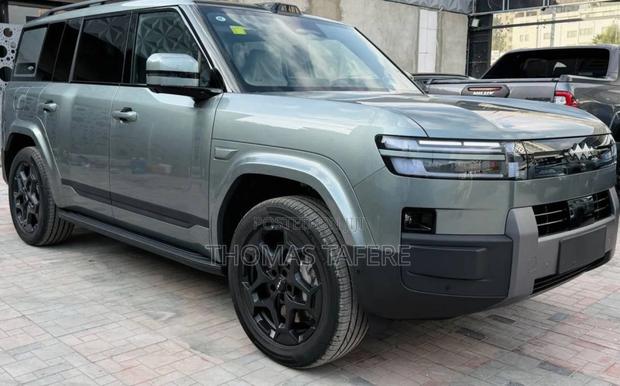 BYD Leopard 7 2025 Gray