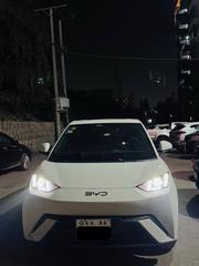 BYD Seagull 2025 White for sale