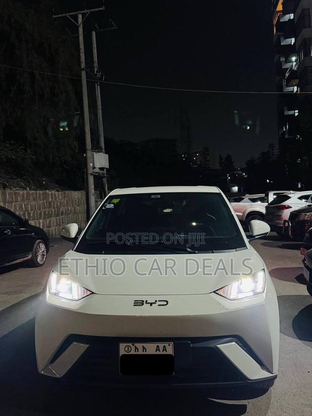 BYD Seagull 2025 White