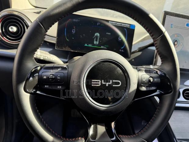 BYD E2 43 kWh 94 hp FWD 2024 Gray