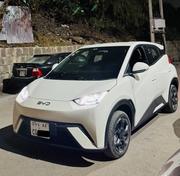 BYD Seagull 2025 White for sale